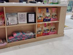 -鼎级派宠物(中南店)