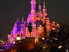 -上海迪士尼度假区