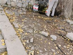 -阳台山自然风景区