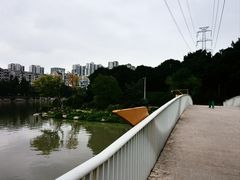 -光明港公园