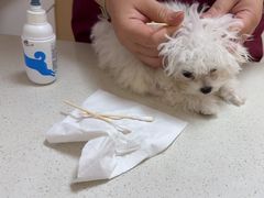 -瑞派康怡24h宠物医院·犬猫医疗中心·微创绝育(瑞景分院)
