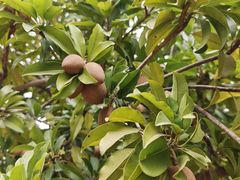 -中国移动南方基地