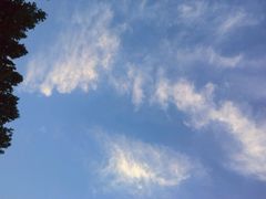 android_upload_pic-星巴克(潍坊泰华广场店)