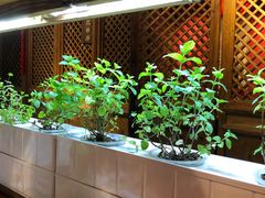 -望京一号·重庆江湖菜(工体店)