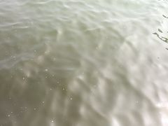 -东疆建设开发纪念公园