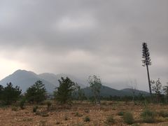 -中岳庙