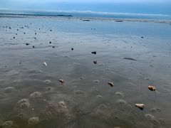 -万尾金滩