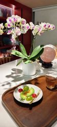 -阅年轻·AI家庭健康体质调理