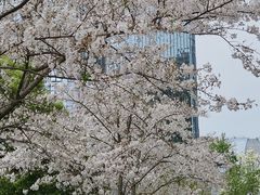 -中央公园(苏州工业园区)