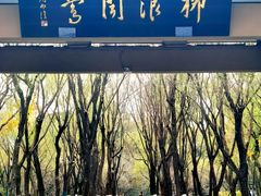 -柳浪闻莺公园