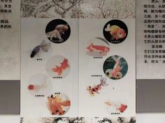 -杭州植物园