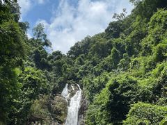 -鼎湖山风景区