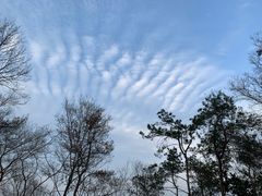 -南京金牛湖风景区