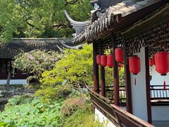 -上海醉白池公园