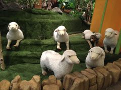 -济州岛泰迪熊博物馆