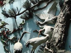 砖雕-东莞市可园博物馆