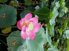 android_upload_pic-宝泉胜境旅游度假区