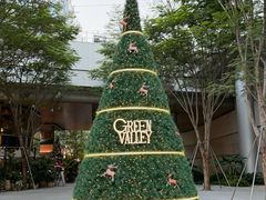 -深圳湾万象城(南山店)