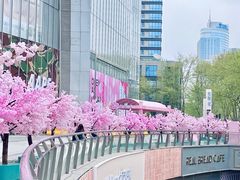 -金茂览秀城