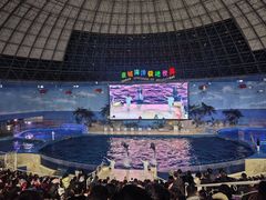 -泉城欧乐堡海洋极地世界