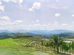-牙胡梯田
