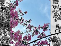 -苏州工学院(东湖校区)
