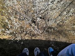 -龙泉峪长城