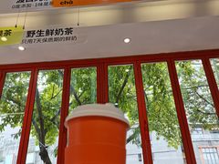 -喧闹·东方大气茶(鹅岭二厂店)