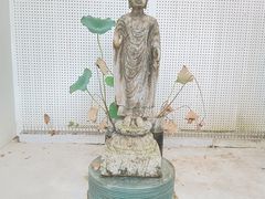 -东山湖公园