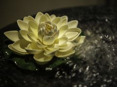 _DSC8183-汤臣海派理疗公馆