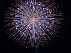 -大地红烟花爆竹经营部