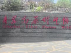 -青藏高原野生动物园