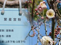 -静安雕塑公园