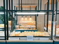-Magic Food Point(Airport Street food)