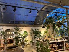-自由生长植物工作室(深港花卉中心店)