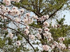 -吉林大学(南岭校区)