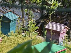 -西山风景区