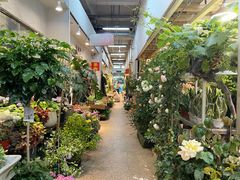 -双季花艺园艺市场(浦东店)
