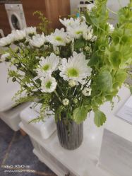 -HEYAN荷妍专业脱毛连锁机构