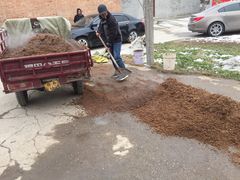 -户县老龙窝酒厂