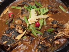 -老板恋上鱼(恒隆广场店)