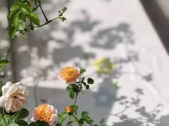 -Beans Solo豆号咖啡(百家湖花园店)