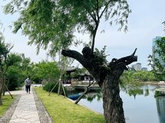-无锡蠡湖国家湿地公园-蠡园