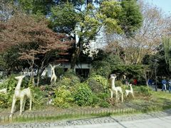 -西湖天地