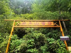 -苏木山森林公园