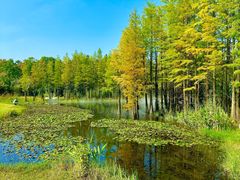 -南京银杏湖乐园