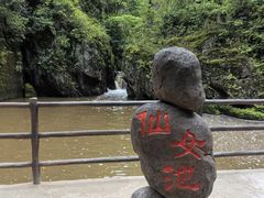 -茅兰沟国家森林公园