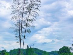 -萍乡武功山风景名胜区