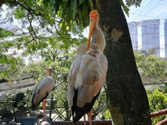 -吉隆坡雀鸟公园