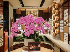 -LensCrafters亮视点·OAKLEY精选(静安嘉里中心店)